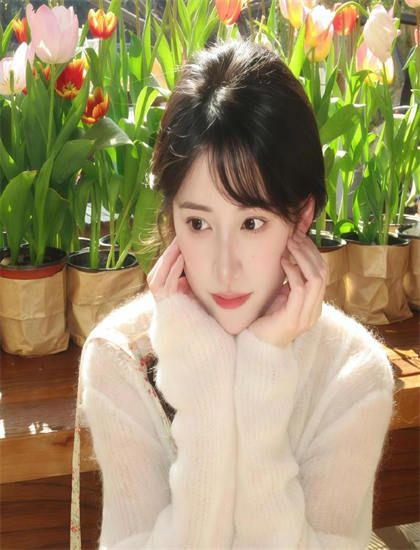 《满园春色香港版》角色研究：的审美特点与艺术成就 认识人物与故事的互动